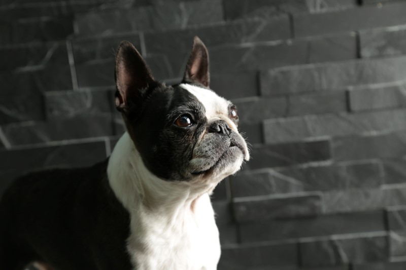 roos